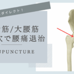 腰痛に関連が深い腸腰筋と衝門穴